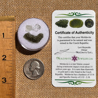 Moldavite, Phenakite, & Herkimer Diamond #95-Moldavite Life