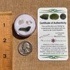 Moldavite, Phenakite, & Herkimer Diamond #96-Moldavite Life