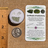 Moldavite, Phenakite, & Herkimer Diamond #97-Moldavite Life
