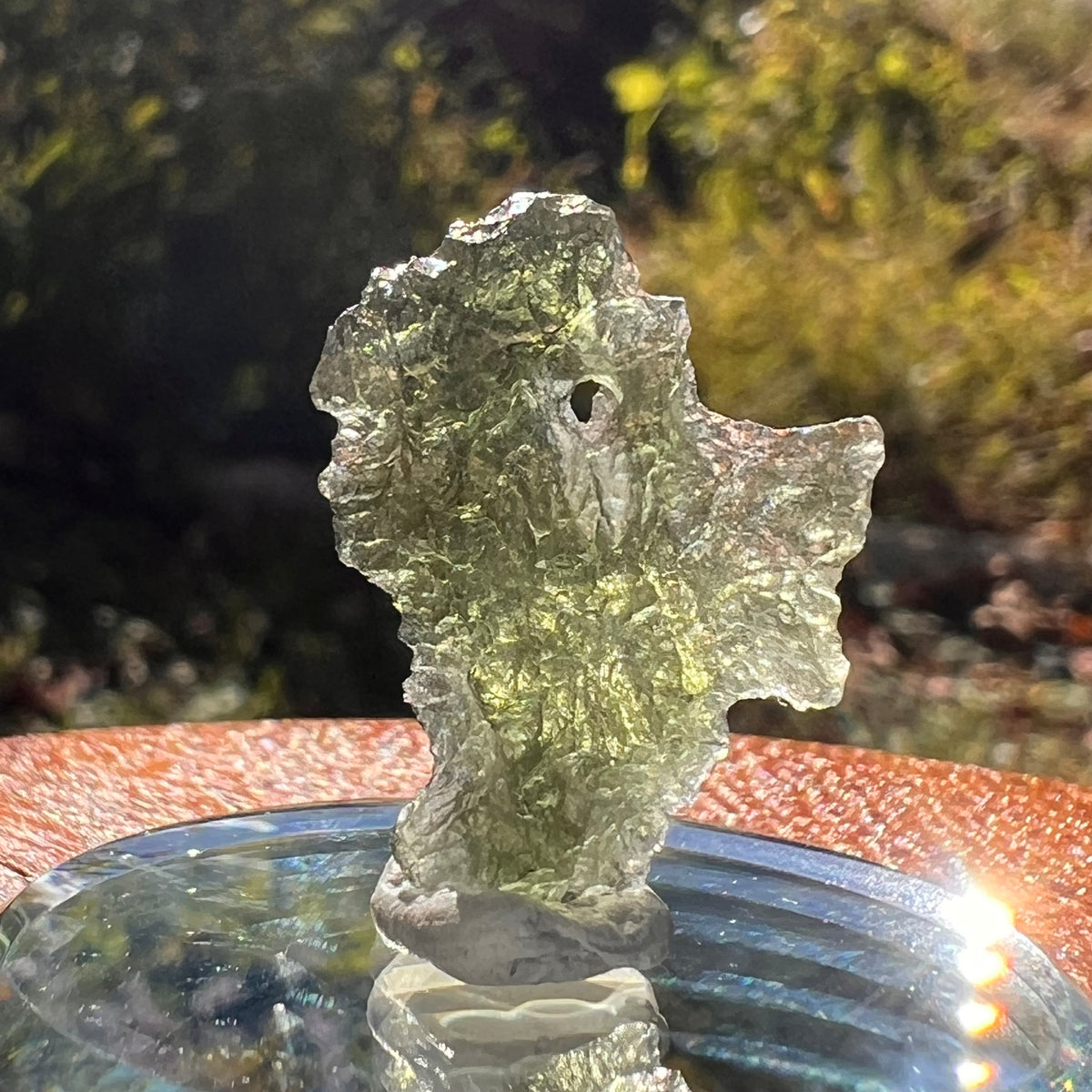 Moldavite Poodle Dog Shape 1.6 grams #2306-Moldavite Life