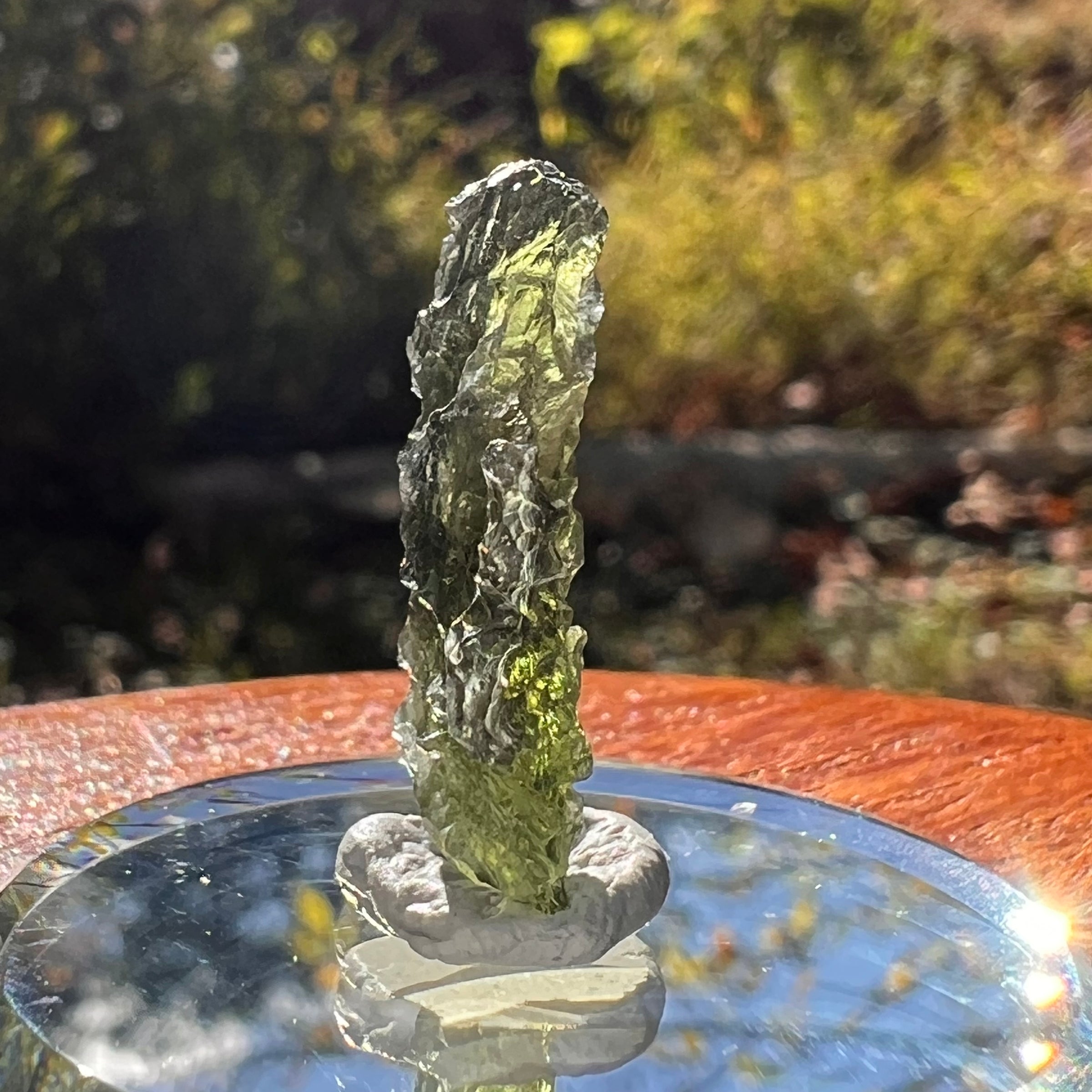 Moldavite Poodle Dog Shape 1.6 grams #2306-Moldavite Life