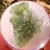 Moldavite Poodle Dog Shape 1.6 grams #2306-Moldavite Life