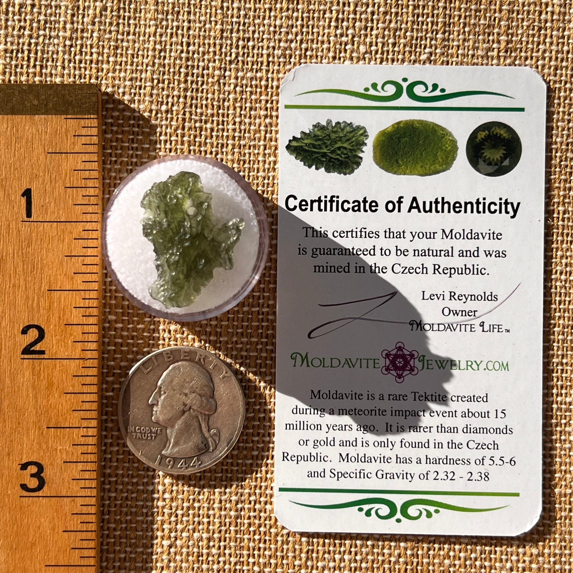 Moldavite Poodle Dog Shape 1.6 grams #2306-Moldavite Life