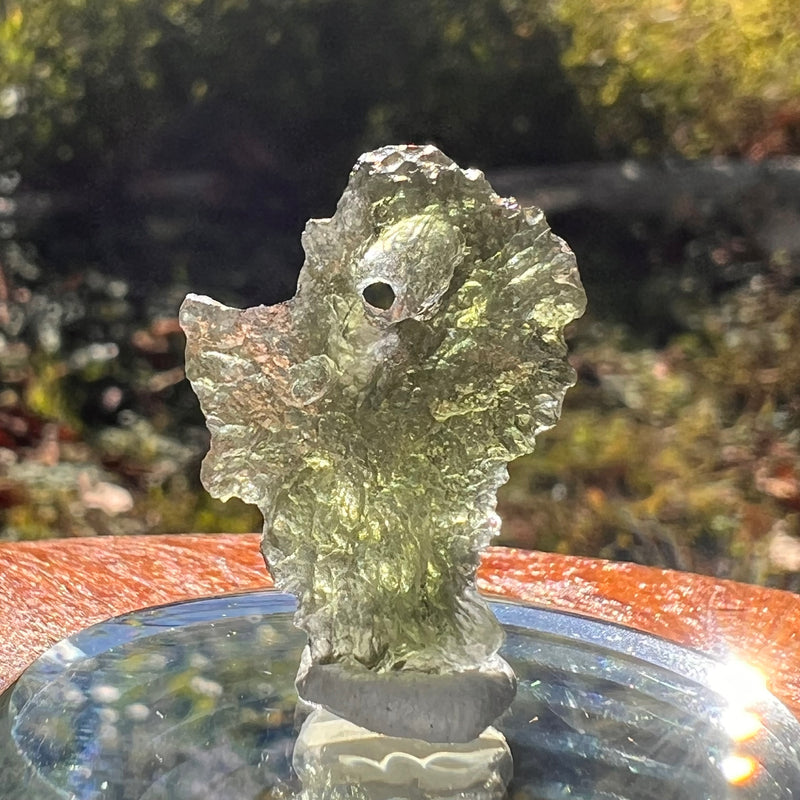 Moldavite Poodle Dog Shape 1.6 grams #2306-Moldavite Life