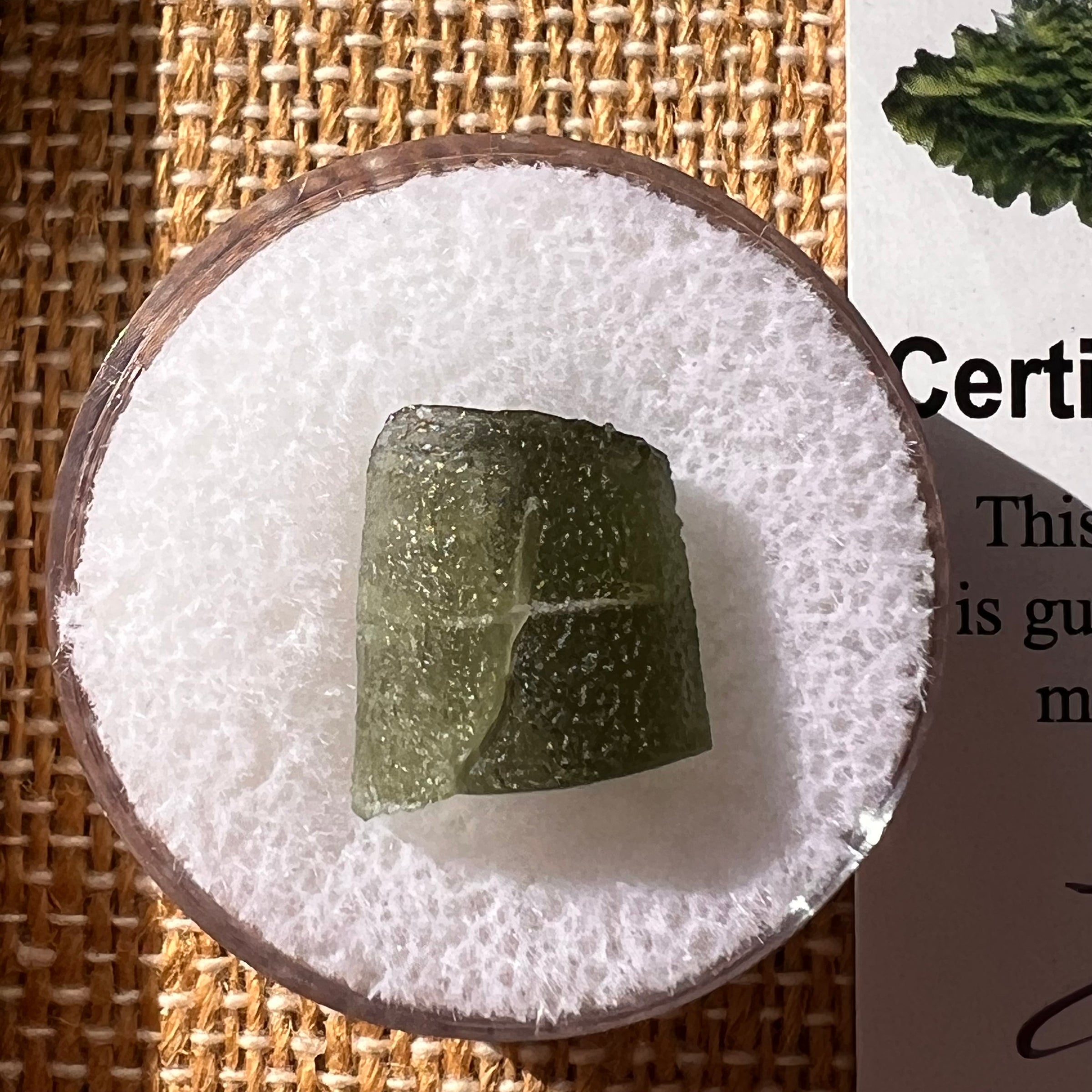 Moldavite Twin 0.8 grams #2258-Moldavite Life