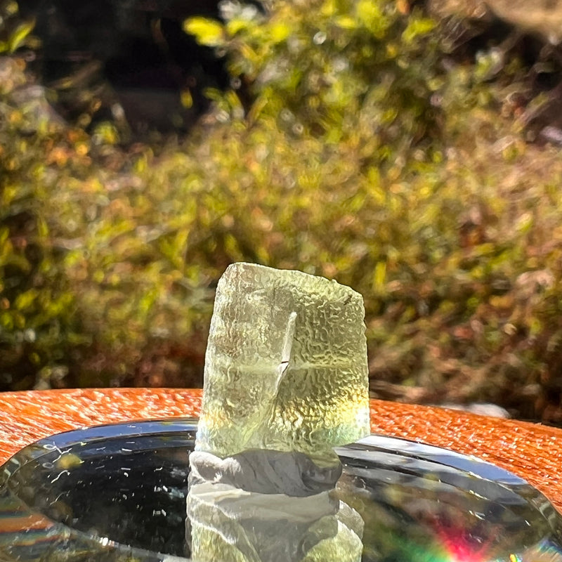 Moldavite Twin 0.8 grams #2258-Moldavite Life