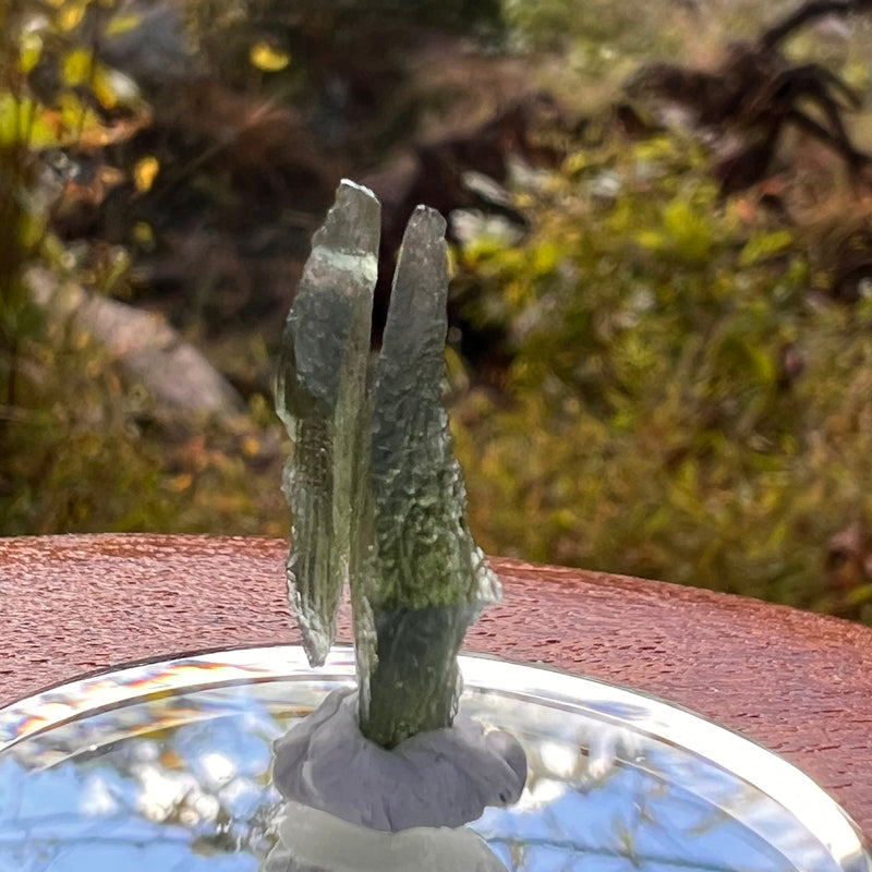 Moldavite Twin 1 gram #2256-Moldavite Life