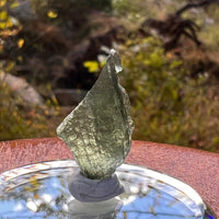 Moldavite Twin 1 gram #2256-Moldavite Life