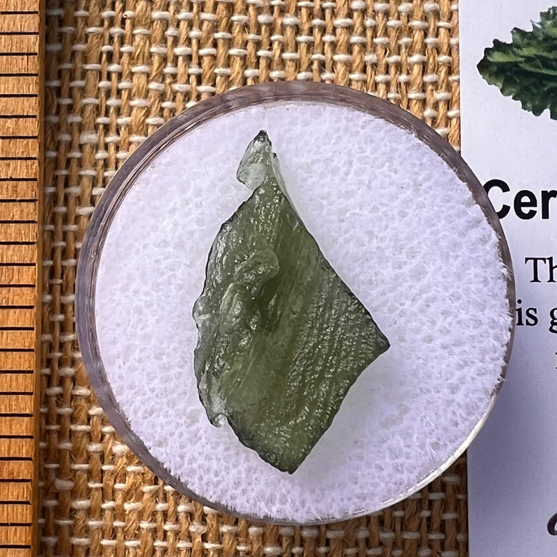 Moldavite Twin 1 gram #2256-Moldavite Life