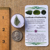 Moldavite Twin 1 gram #2256-Moldavite Life