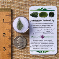 Moldavite Twin 1 gram #2256-Moldavite Life