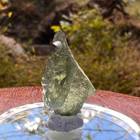 Moldavite Twin 1 gram #2256-Moldavite Life