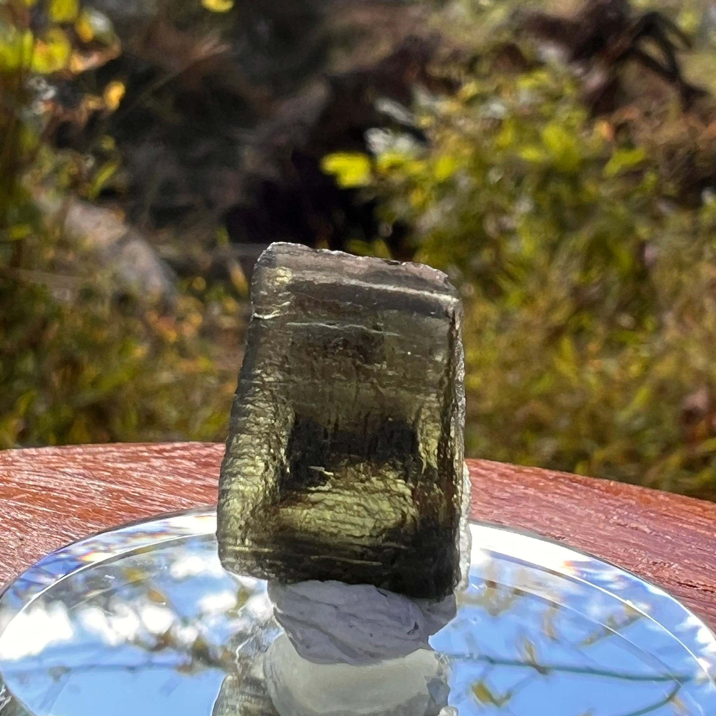 Moldavite Twin 1.5 grams #2257-Moldavite Life