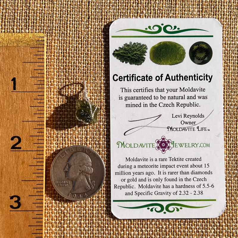 Moldavite Wire Wrapped Pendant Sterling Silver #7848-Moldavite Life