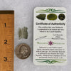 Moldavite .6 grams #1695-Moldavite Life