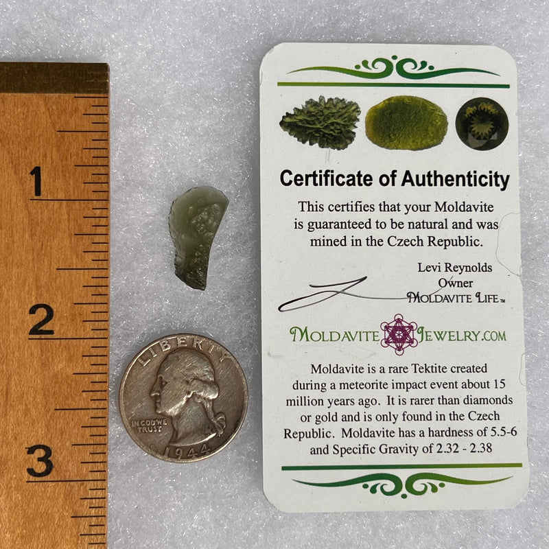 Moldavite .9 grams #1704-Moldavite Life