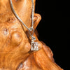 Phenacite & Brookite Necklace Sterling Silver #5390-Moldavite Life