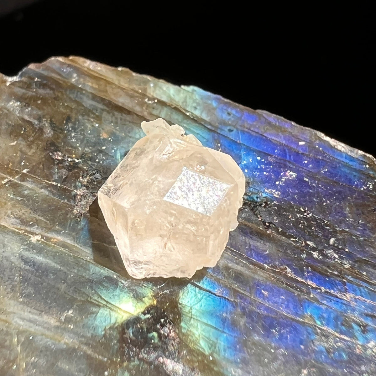 Phenacite Crystal #19-Moldavite Life
