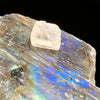Phenacite Crystal #24-Moldavite Life