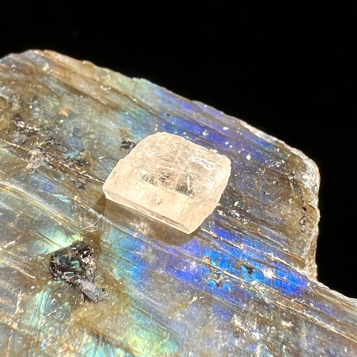 Phenacite Crystal #24-Moldavite Life