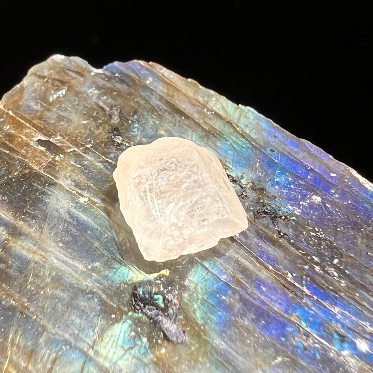 Phenacite Crystal #25-Moldavite Life