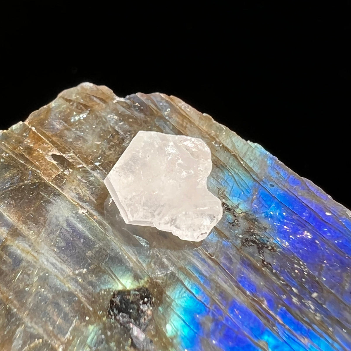 Phenacite Crystal #28-Moldavite Life