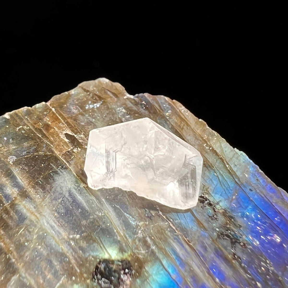 Phenacite Crystal #30-Moldavite Life