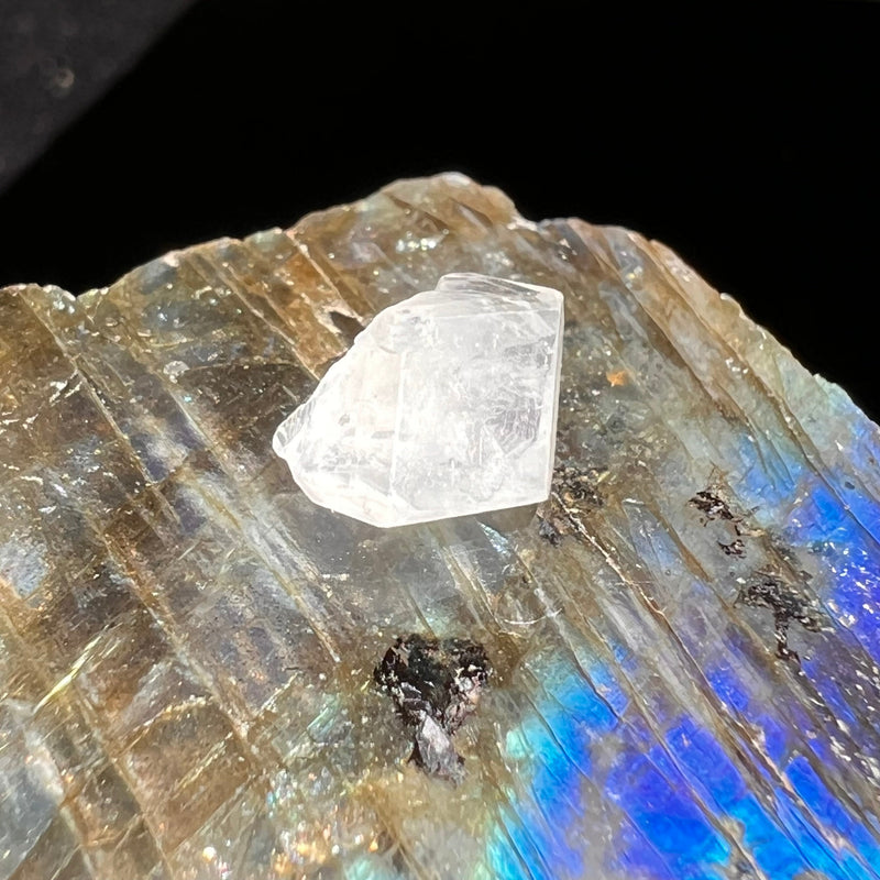 Phenacite Crystal #30-Moldavite Life