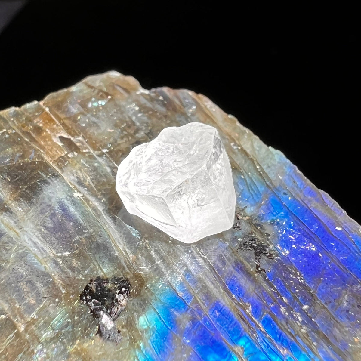 Phenacite Crystal #31-Moldavite Life