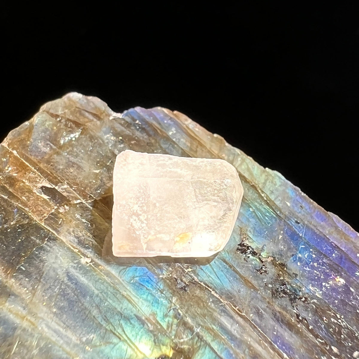Phenacite Crystal #32-Moldavite Life