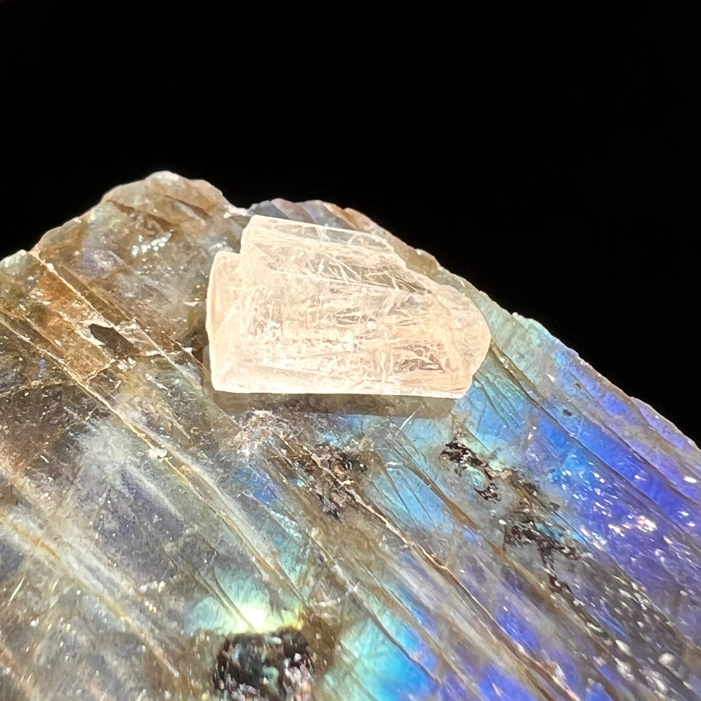 Phenacite Crystal #33-Moldavite Life
