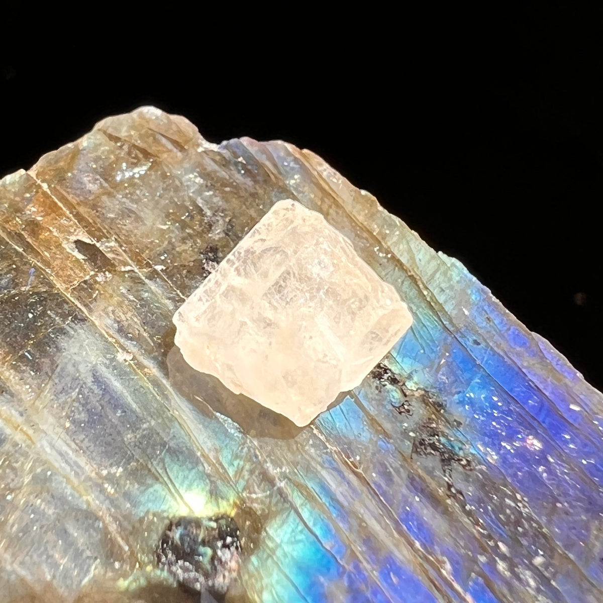 Phenacite Crystal #34-Moldavite Life