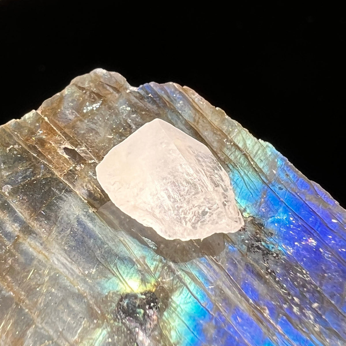 Phenacite Crystal #36-Moldavite Life