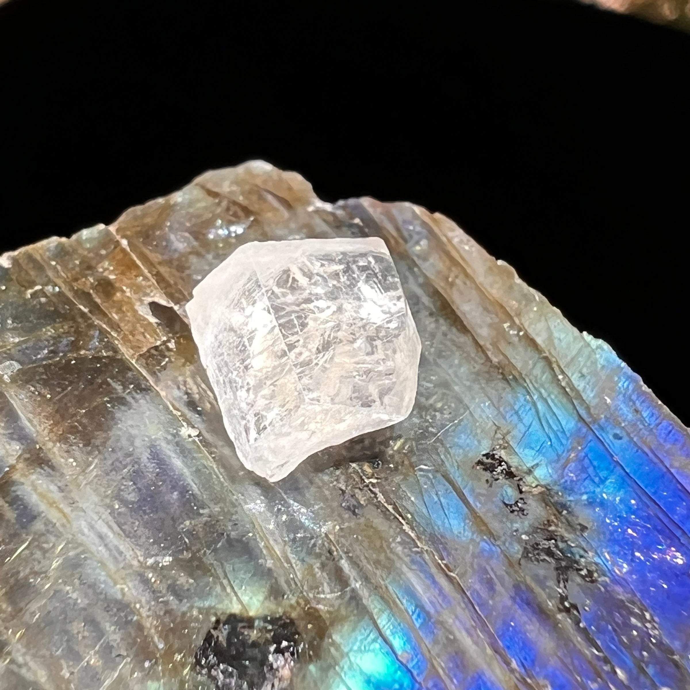 Phenacite Crystal #38-Moldavite Life