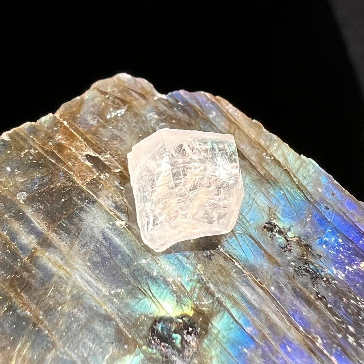Phenacite Crystal #38-Moldavite Life