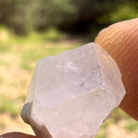 Phenakite Crystal #50-Moldavite Life