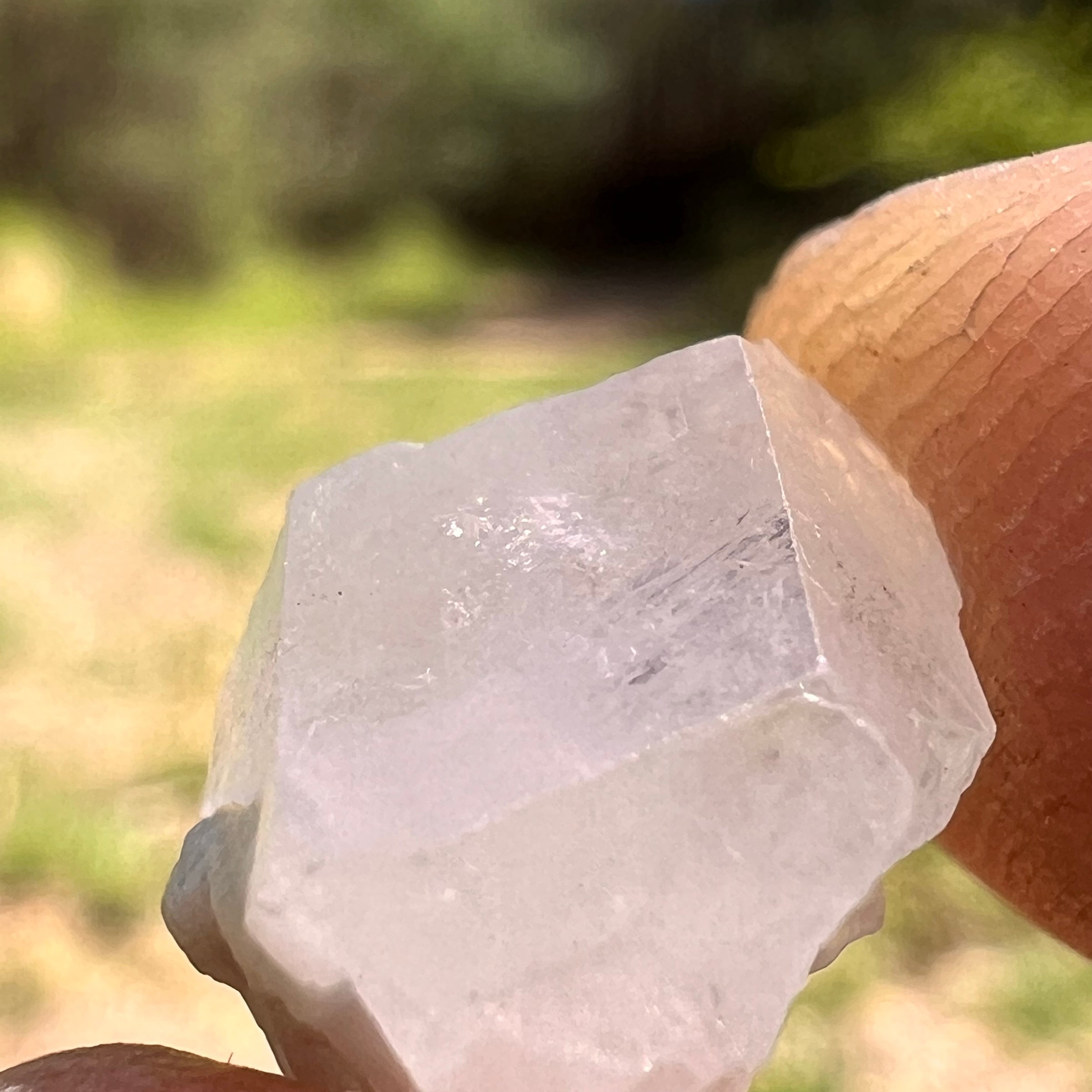 Phenakite Crystal #50-Moldavite Life