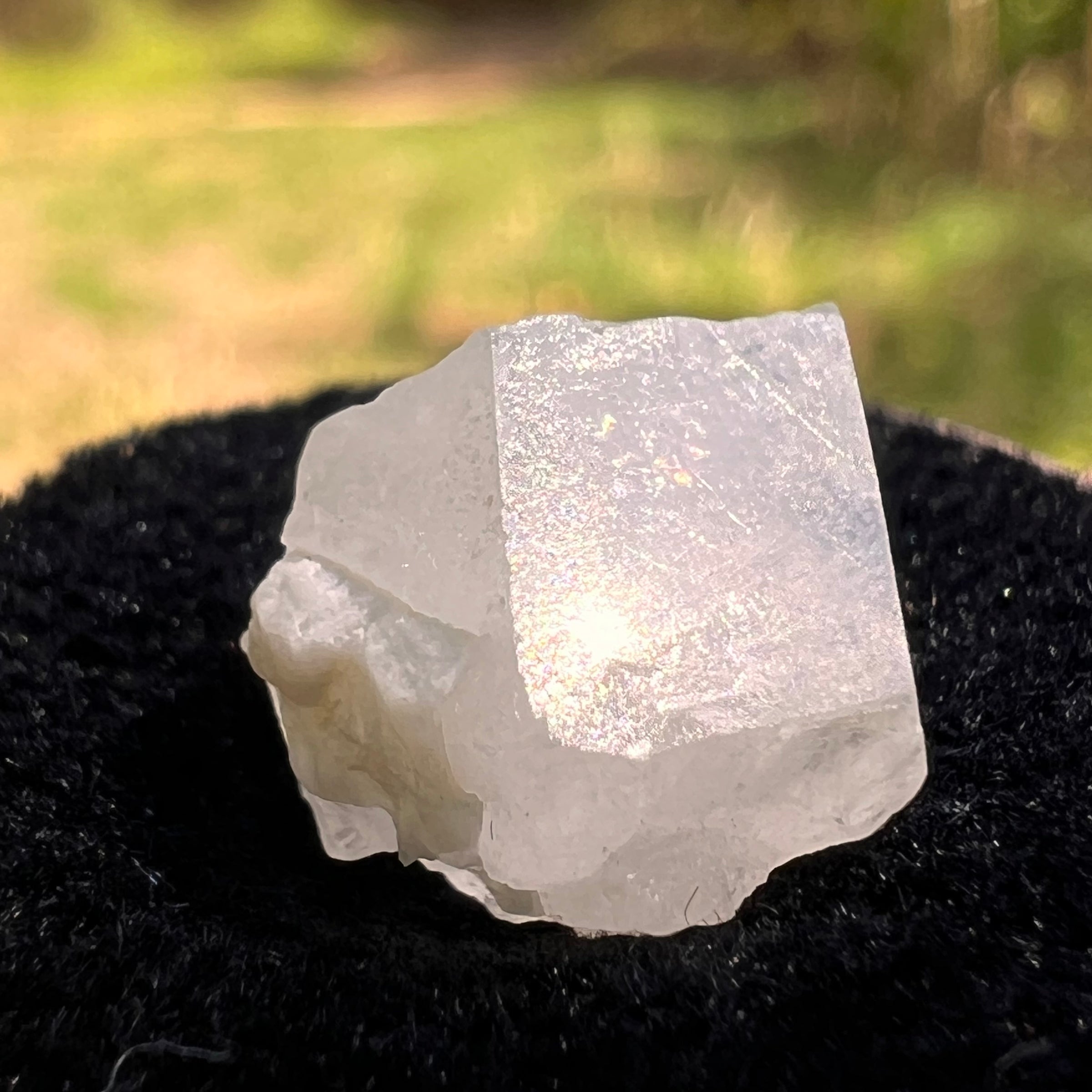 Phenakite Crystal #50-Moldavite Life