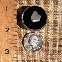 Phenakite Crystal #50-Moldavite Life