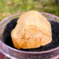 Phenakite Crystal #55-Moldavite Life