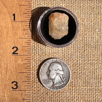 Phenakite Crystal #55-Moldavite Life