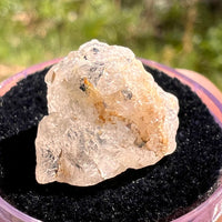 Phenakite Crystal #56-Moldavite Life