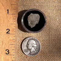 Phenakite Crystal #56-Moldavite Life