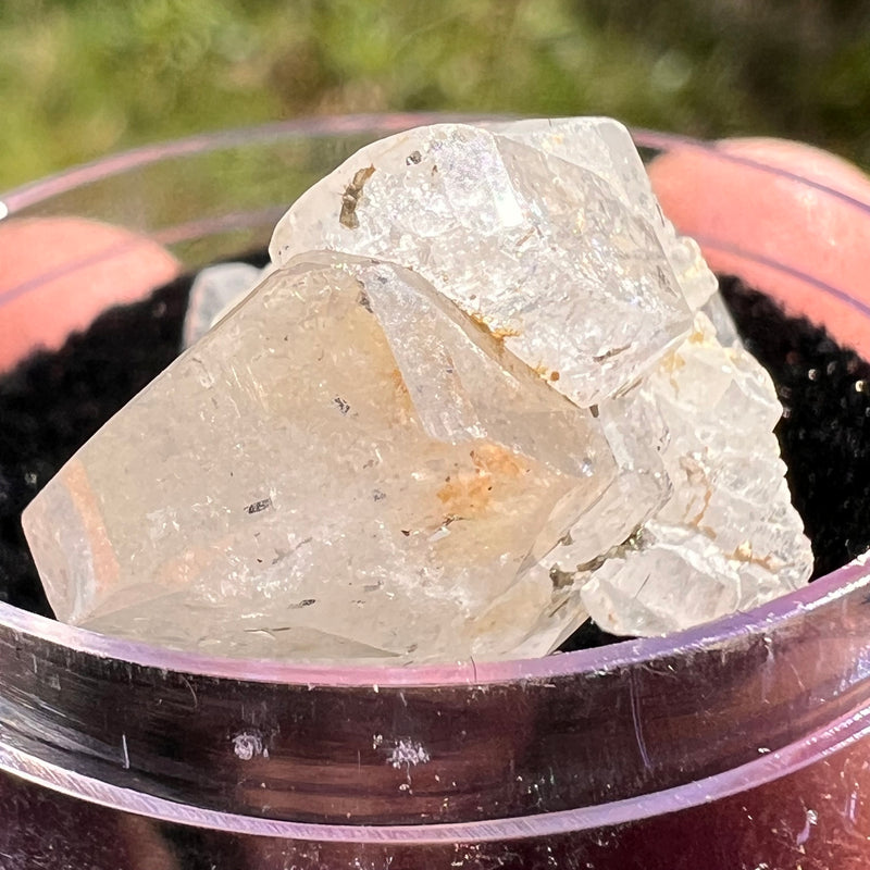 Phenakite Crystal #60-Moldavite Life