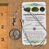 Phenakite & Moldavite Necklace Sterling #6952-Moldavite Life