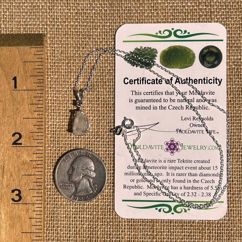 Phenakite & Moldavite Necklace Sterling #7260-Moldavite Life