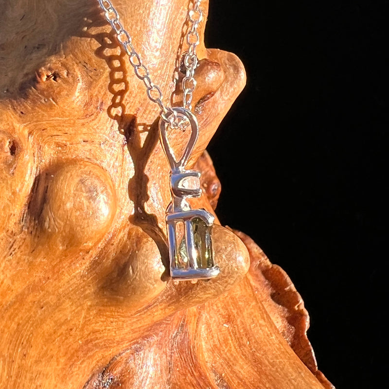 Phenakite & Moldavite Necklace Sterling #7880-Moldavite Life