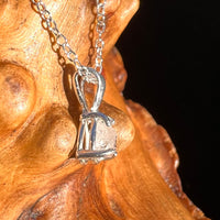 Phenakite Necklace Sterling Raw Crystal #6863-Moldavite Life