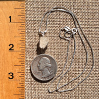 Phenakite Necklace Sterling Raw Crystal #6921-Moldavite Life
