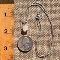 Phenakite Necklace Sterling Raw Crystal #6923-Moldavite Life
